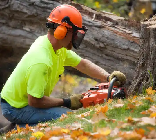 tree services Helena